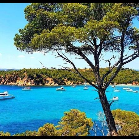 Appartement Pieds Dans L'Eau Vue Mer Bormes Les Mimosas Eksteriør bilde