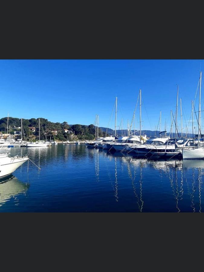 Appartement Pieds Dans L'Eau Vue Mer Bormes Les Mimosas Eksteriør bilde
