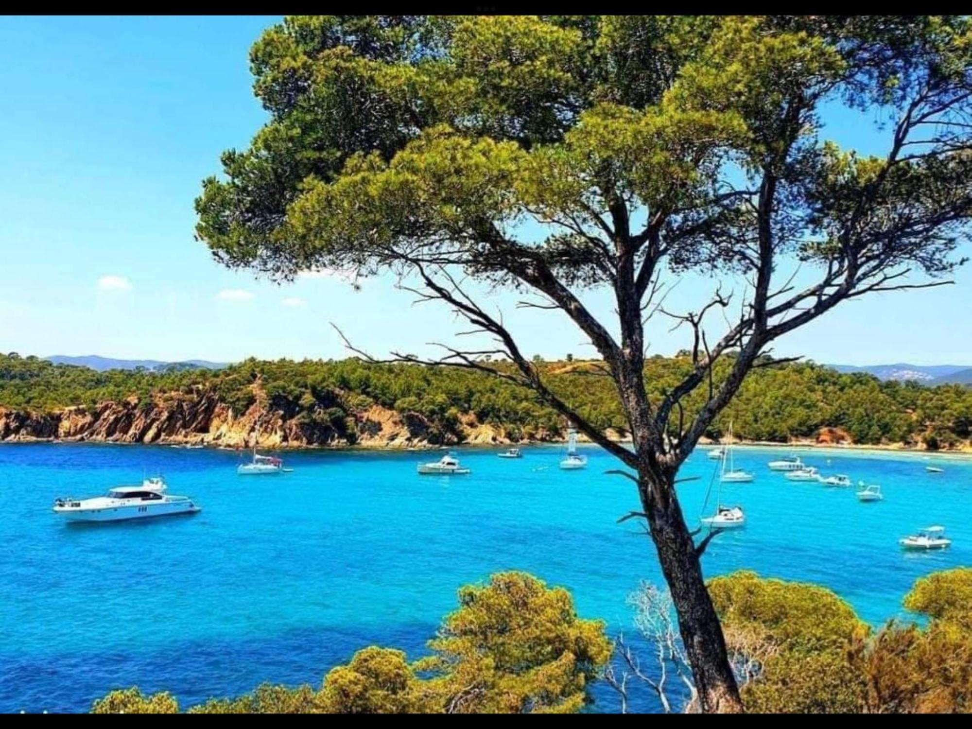 Appartement Pieds Dans L'Eau Vue Mer Bormes Les Mimosas Eksteriør bilde