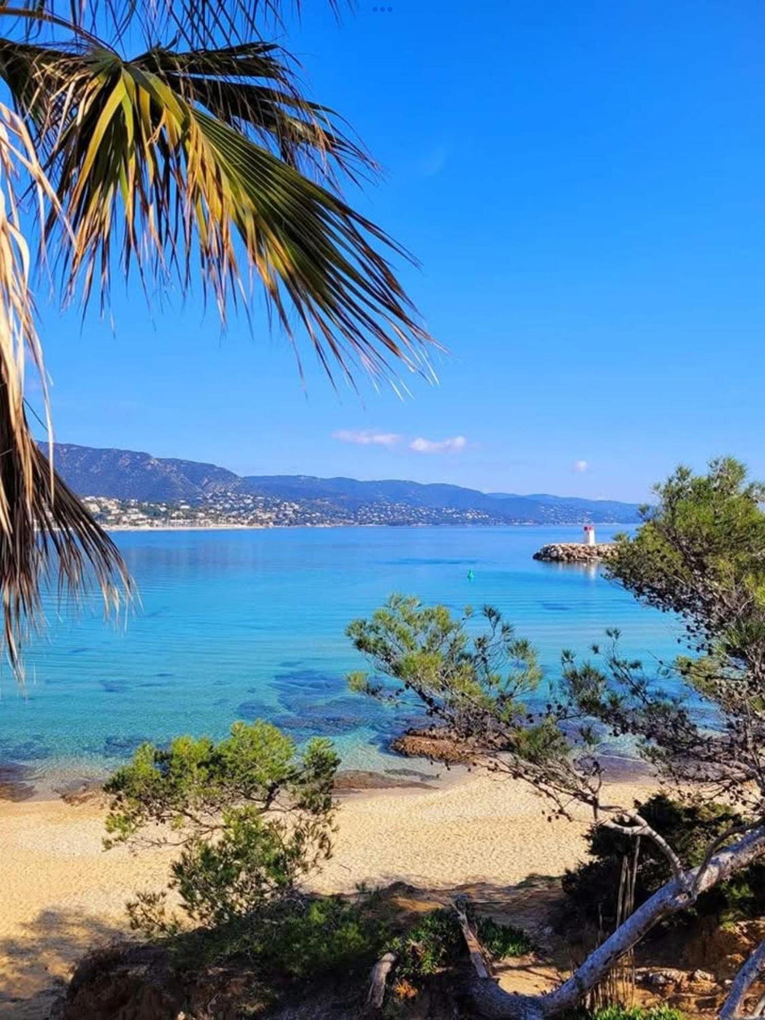 Appartement Pieds Dans L'Eau Vue Mer Bormes Les Mimosas Eksteriør bilde